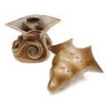 klokkenstel Hildo Krop wierrookbrander slang en hert 
              <br/>
              Redactie, 2014-10-14